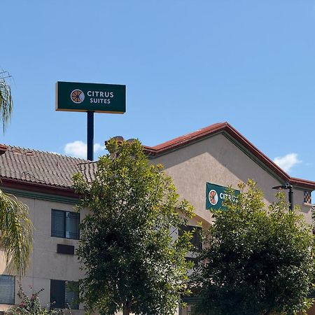 Citrus Suites Redlands Loma Linda Hotel Exterior photo